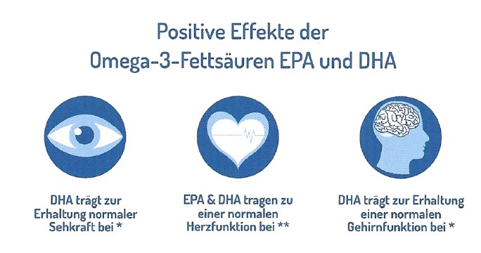 positive-effekte-fettsaeren